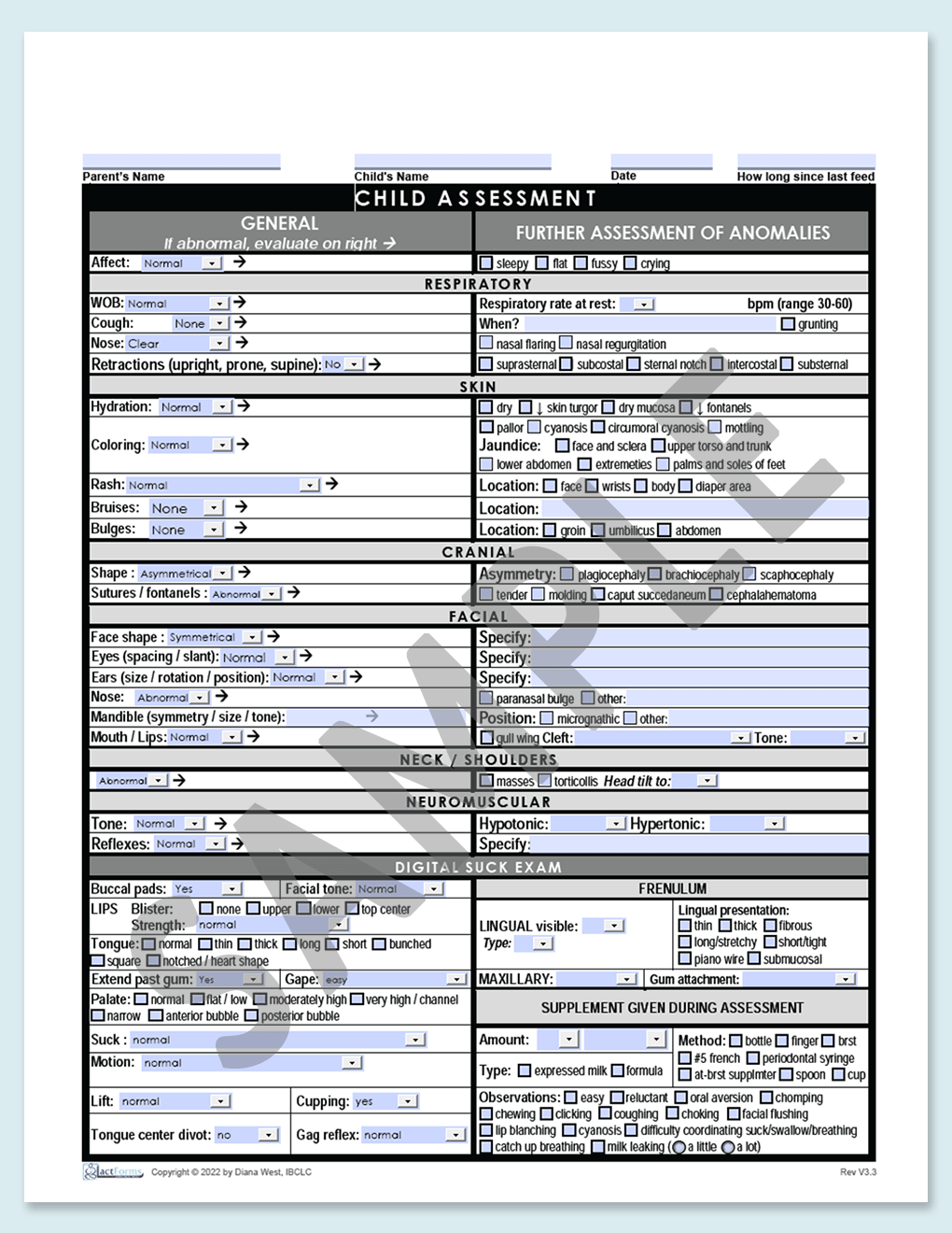 Sample fillable Child Assessment without header grey V3.3