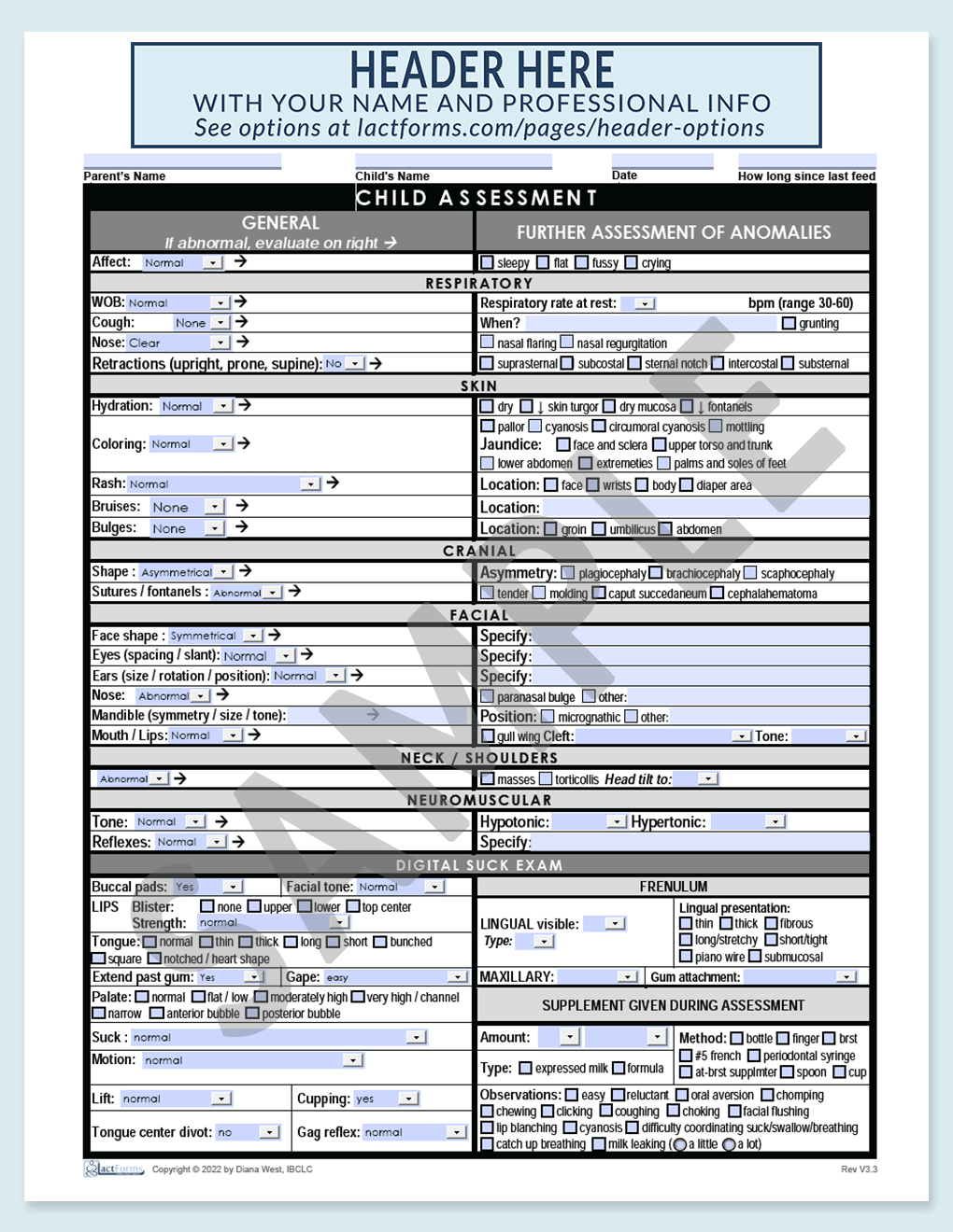 Sample fillable Child Assessment with header grey V3.3
