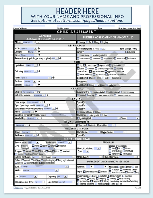 Sample fillable Child Assessment with header grey V3.3