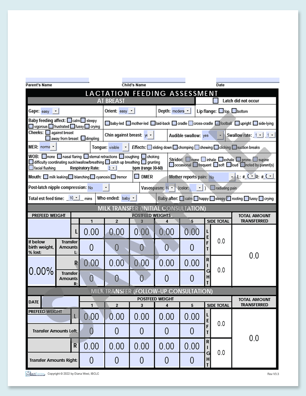 Sample fillable Feeding Assessment without header grey V3.3