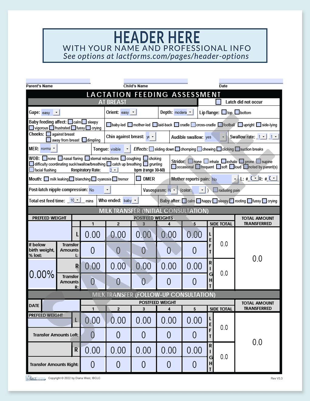 Sample fillable Feeding Assessment with header grey V3.3