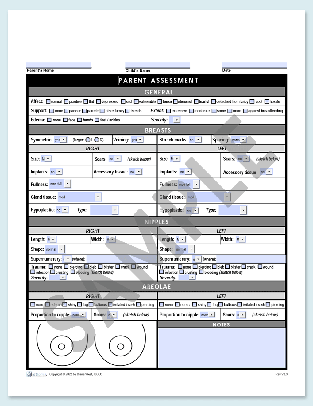 Sample fillable Parent Assessment without header grey V3.3