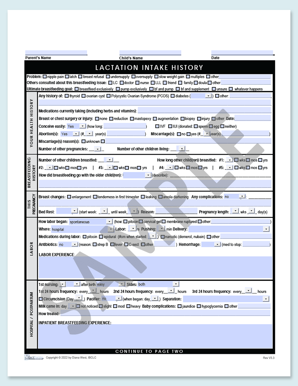 Sample fillable History page one without header grey V3.3