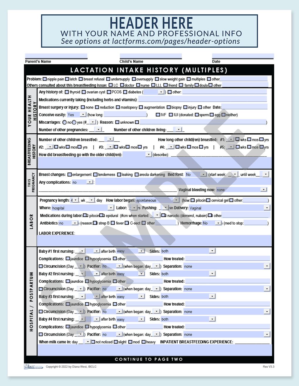 Sample fillable History for multiples page one with header grey V3.3