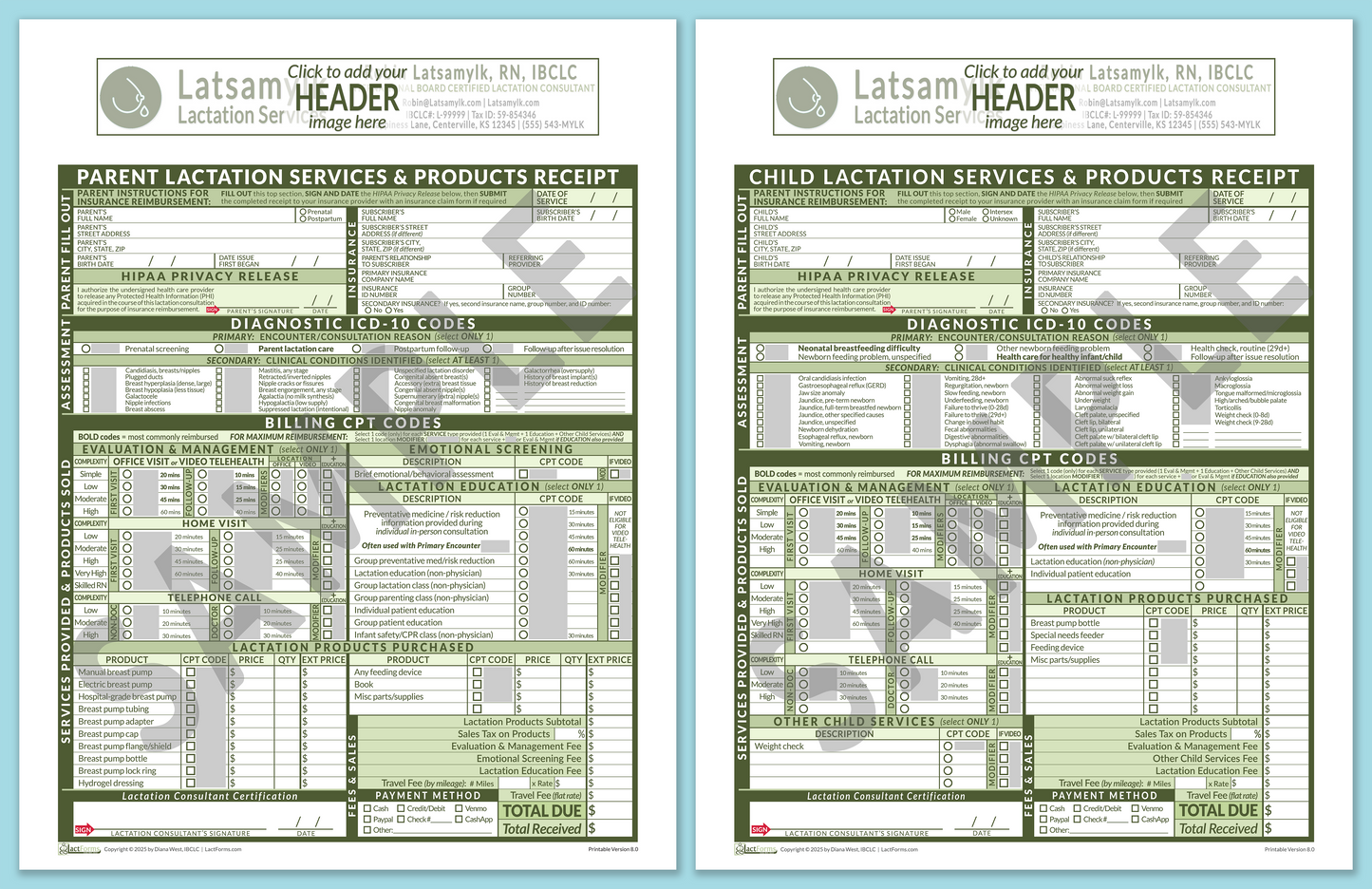Superbills Package—ProPrintable, HeaderBox before editing, Green, V8.0