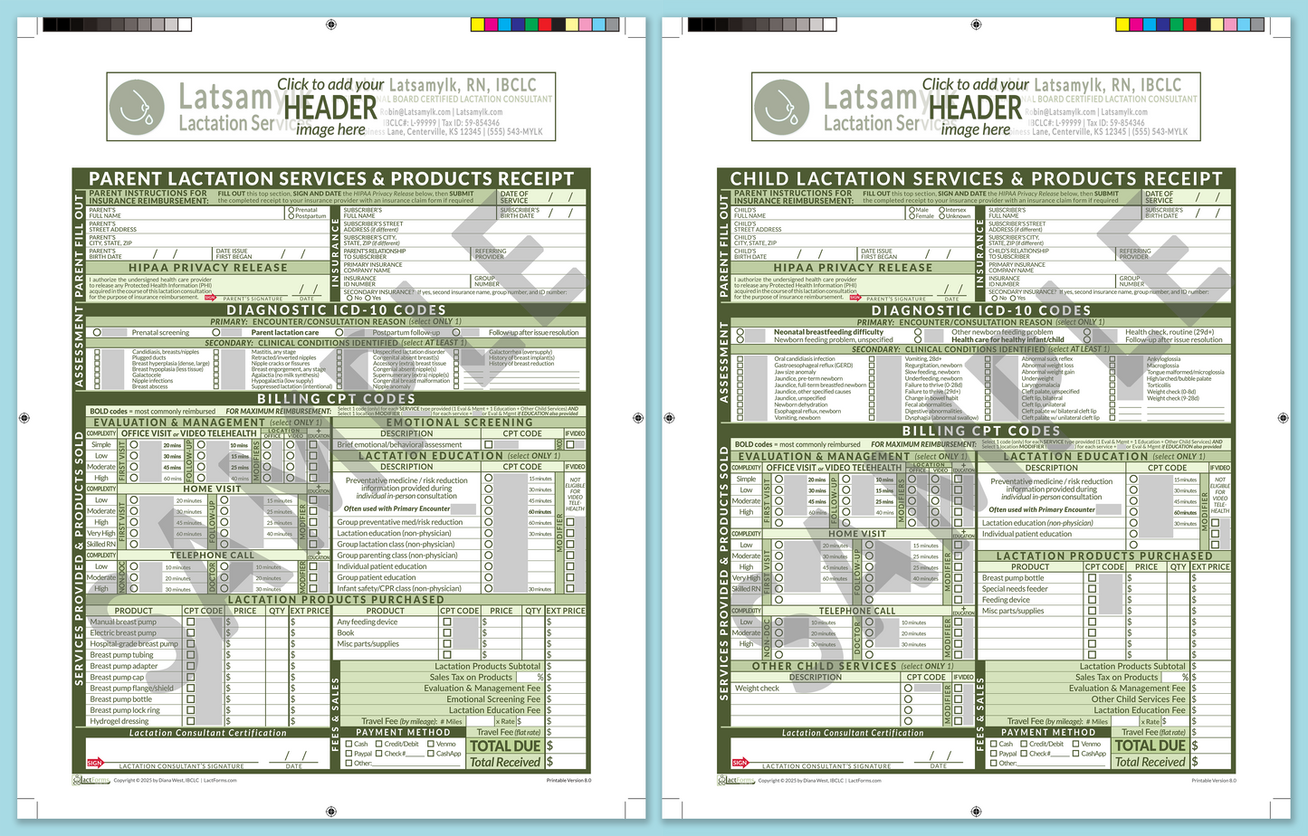 Superbills Package—ProPrintable, HeaderBox before editing, Green, V8.0
