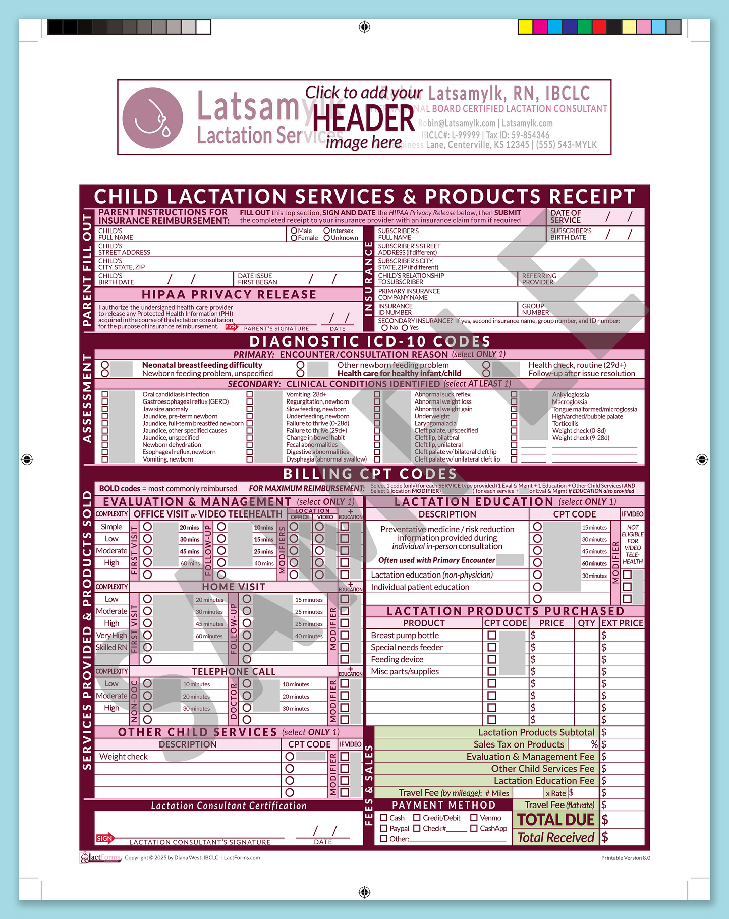 Child Superbill—ProPrintable, HeaderBox before editing, Pink, V8.0