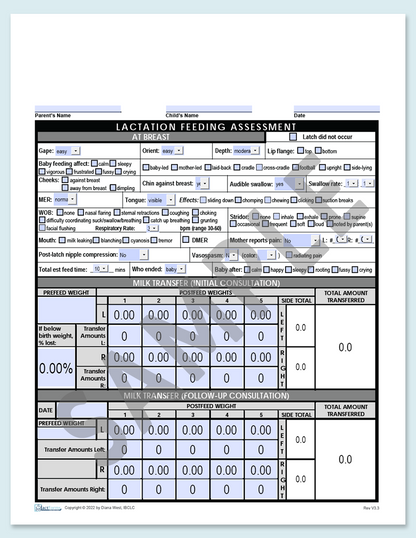 Feeding Assessment Form