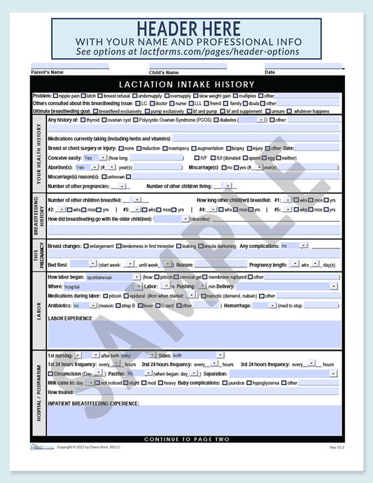 Sample fillable History page one with header grey V3.3