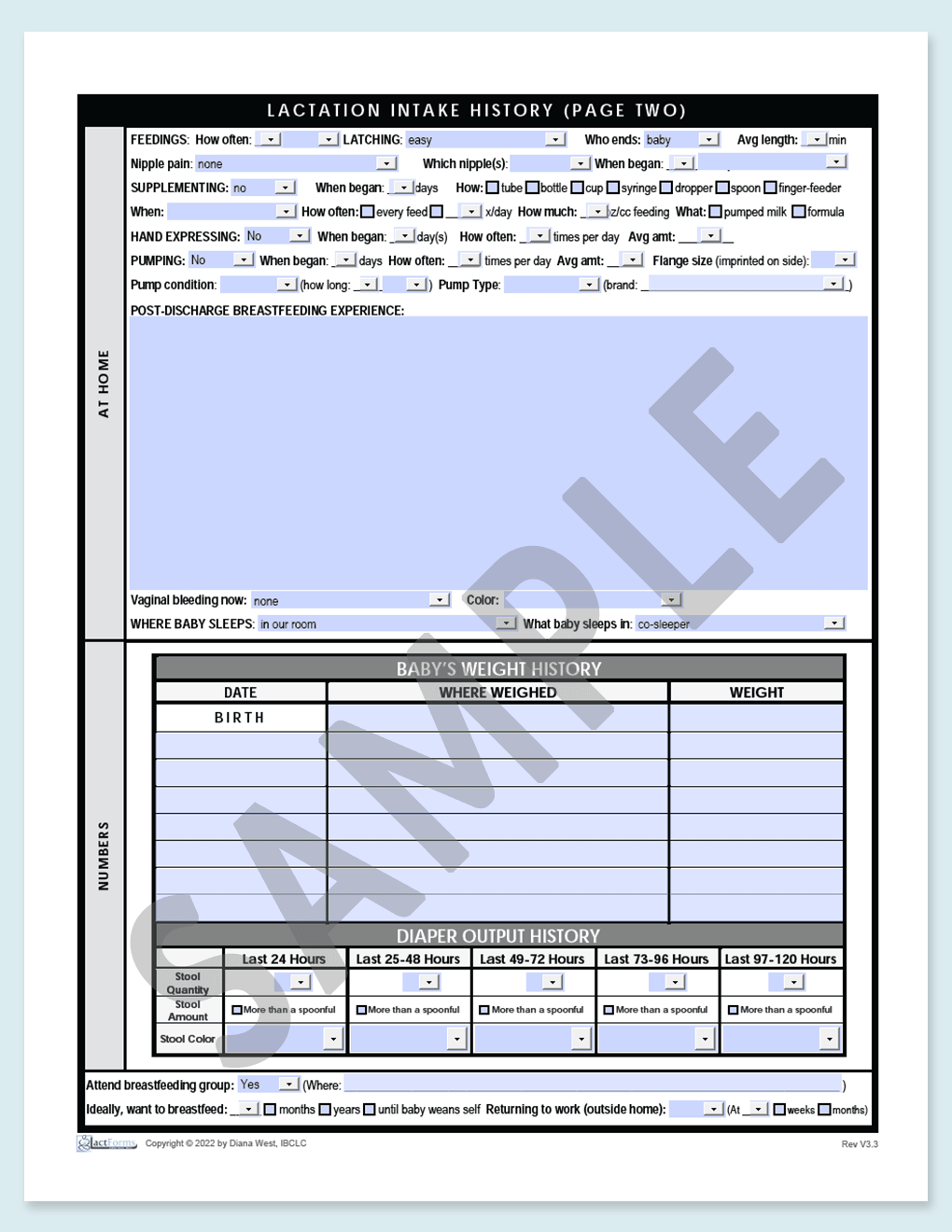 Sample fillable History page two grey V3.3