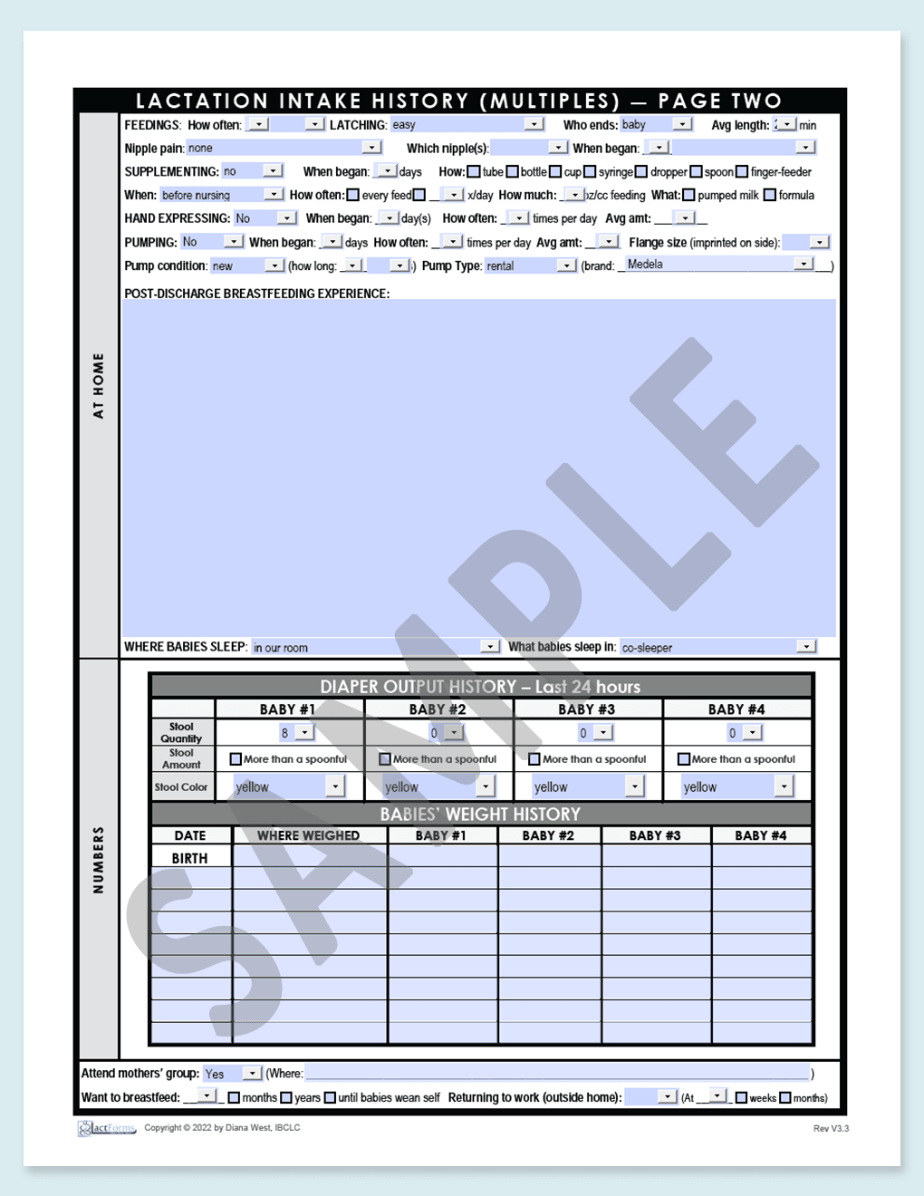 Sample fillable History for multiples page two grey V3.3