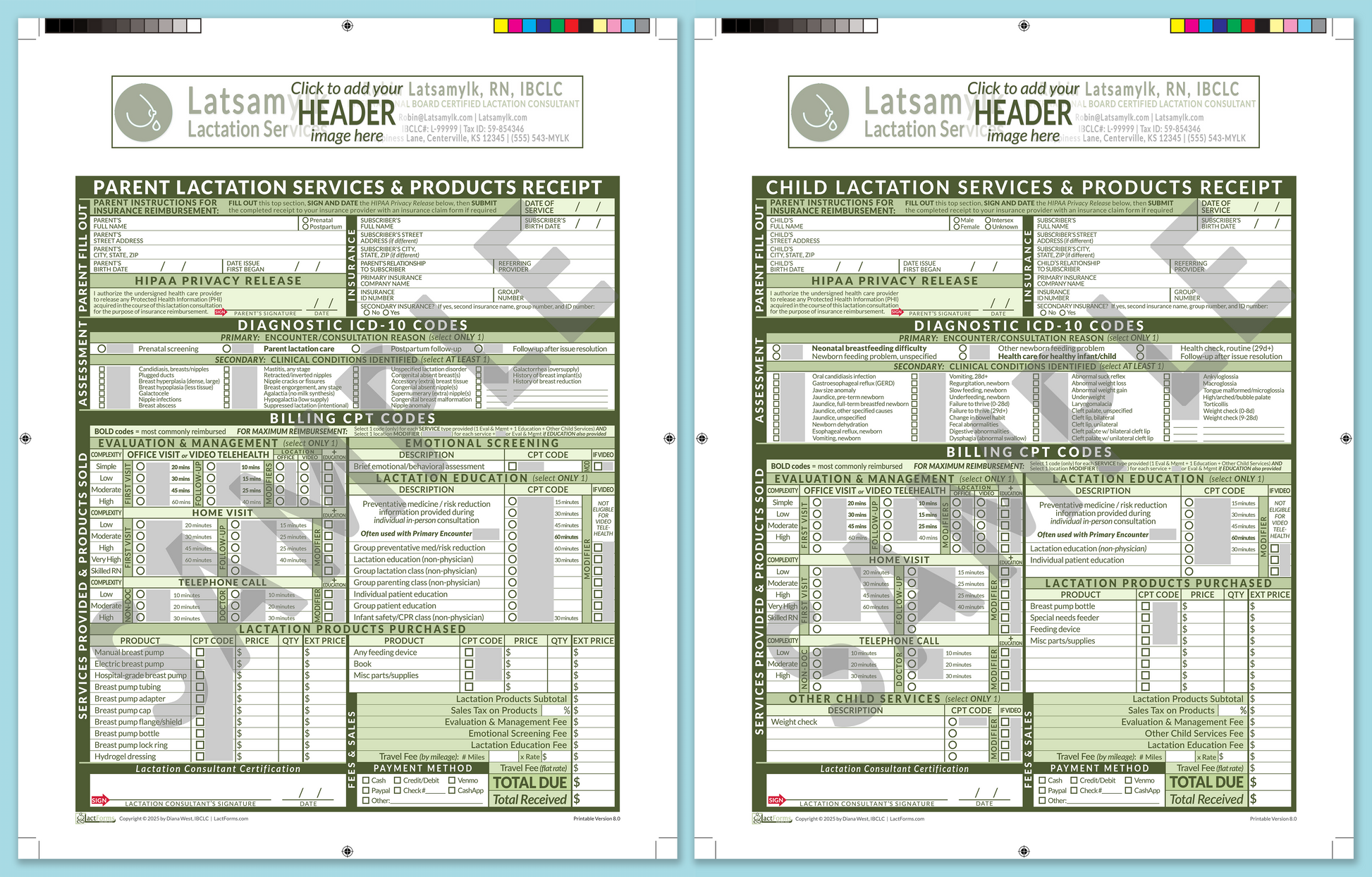 LactForms Superbills Package V8.0 ProPrintable HeaderBox Green-Redacted sample-Before editing header